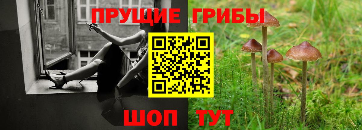 Псилоцибиновые грибы Psilocybine cubensis Нягань