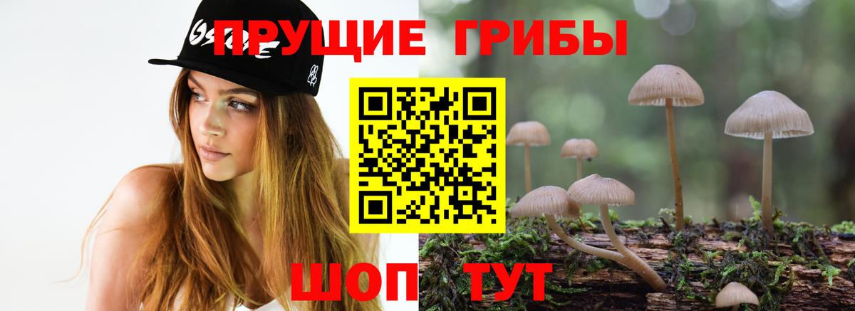 даркнет сайт  Галлюциногенные грибы Psilocybe  Вход с VPN  Галлюциногенные грибы MAGIC MUSHROOMS  Нягань 